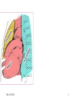 CT giải phẫu phổi, Mar 31, 2016