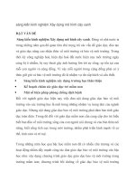 Xây dựng mô hình cây xanh  để giáo dục bảo vệ môi trường cho trẻ ở trường mầm non yên mỹ 