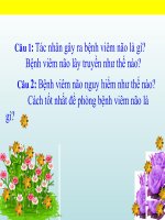 bài giảng khoa học lớp 5 phòng bẹnh viêm gan a