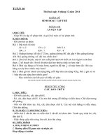 giáo án Lớp 3 tuần 2 năm học 2015 2016 theo mô hình trường học mới vnen Tuần 16   VNEN