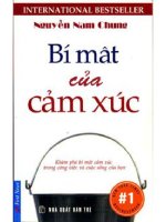 bí mật của  cảm xúc 0 nguyễn nam chung