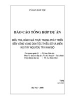 Điều tra đánh giá thực trạng phát triển bền vững vùng dân tộc thiểu số và miền núi Tây Nguyên, Tây Nam Bộ