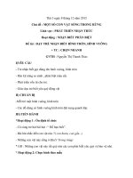 giáo án mầm non những con vật đáng yêu 