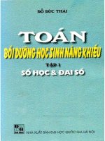 Toán bồi dưỡng học sinh năng khiếu tập 1 số học và đại số  NXB đại học quốc gia 2000 