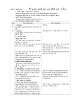 GIÁO án bàn TAY nặn bột lớp 5