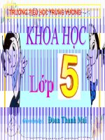 bài giảng khoa học lớp 5 sự sinh sản của thực vật có hoa