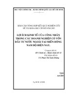 Lợi ích kinh tế của công nhân trong các doanh nghiệp có vốn đầu tư nước ngoài ở miền Đông Nam Bộ hiện nay