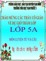 bài giảng luyện từ và câu lớp 5   từ nhiều nghĩa