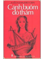 cánh buồm đỏ thắm   alexandre grin