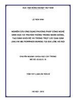 Nghiên cứu ứng dụng phương pháp công nghệ sinh học và truyền thống trong nhân giống, tạo sinh khối rễ và trồng trọt cây Đan sâm tại Gia Lâm Hà Nội