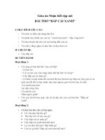 giáo án nhận biết tập nói 