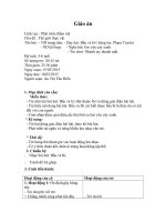 Giáo án âm nhạc bầu và bí