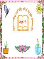 bài giảng luyện từ và câu lớp 5  luyện tập