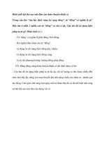 Hình ảnh bội thu sau một đêm của đoàn thuyền đánh cá