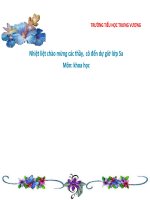 bài giảng khoa học 5 cây con mọc lên từ hạt