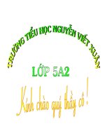 bài giảng luyện từu và câu lóp 5  tổng kết vốn từ