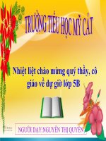 bài giảng tập đọc 5 tuần  8 kì diệu rừng xanh
