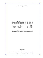 Phương trình vô tỉ  trần sĩ tùng 