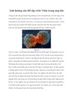 Ảnh hưởng của thể dục trên viêm trong ung thư 