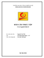 PHÂN TÍCH HIỆU QUẢ HOẠT ĐỘNG KINH DOANH TẠI CÔNG TY TNHH THƯƠNG MẠI VÀ DỊCH VỤ VŨ LÊ NGUYỄN