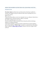 Mints app 2 0 review mints app by precious ngwu bonus