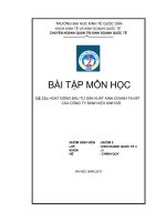 Hoạt động đầu tư sản xuất kinh doanh tại mỹ của công ty bánh kéo kinh đô 