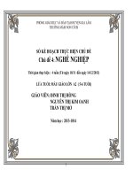 kế hoạch thực hiện chủ đề nghề nghiệp chuẩn 