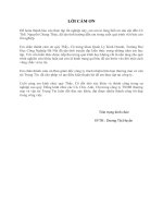 Một số giải pháp nâng cao hiệu quả sử dụng vốn tại công ty TNHH thương mại và vận tải Trọng Tín