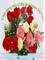 bài giảng luyện từ và câu lớp 5 tuần 29 ôn tập về dấu câu  dấu chấm dấu hỏi dấu chấm than