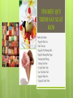 Thuyết trình công nghệ chế biến sữa và các sản phẩm từ sữa tìm hiểu quy trình sản xuất kem 