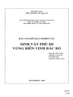 Sinh vật phù du vùng biển vịnh bắc bộ
