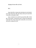 tiểu luận môn đạo diễn chương trình truyền hình phim tài liệuu