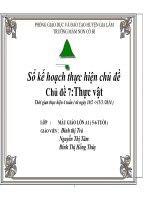 kế hoạch thực hiện chủ đề thực vật 