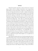 Nghiên cứu ảnh hưởng của các tham số cấu trúc lên dải tần làm việc của vật liệu Meta có chiết suất âm