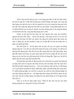 Thiết kế nhà máy bia lên men dịch đường nồng độ cao, năng suất 38 triệu lít bia/năm