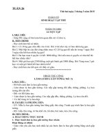 giáo án Lớp 3 tuần 2 năm học 2015 2016 theo mô hình trường học mới vnen Tuần 26   VNEN