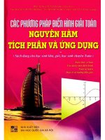 Các phương pháp điển hình giải toán nguyên hàm tích phân và ứng dụng  NXB đại học quốc gia 2009 