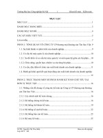 Tổ chức quản lý và công tác kế toán tại Công ty CP thương mại khoáng sản Tân Sao Việt