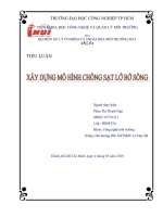 tiểu luận xây dựng mô hình chống sạt lở bờ sông