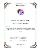 Phân lập và nuôi cấy, nhân giống nấm ăn, sản xuất meo giống các loại nấm ăn tại phòng nhân giống của xí nghiệp sản xuất và chế biến nấm xuất khẩu sơn la 