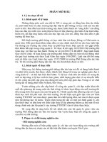 Sáng kiến kinh nghiệm hay về cách quản lý trường PTDBT THCS