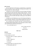 Thực trang văn hóa đọc của bạn đọc tại thư viện huyện phù yên 