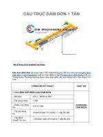 Thông số kỹ thuật cầu trục dầm đơn 1 tấn