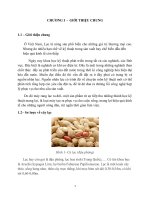 Thiết kế máy rang lạc và hệ thống điều khiển tự động