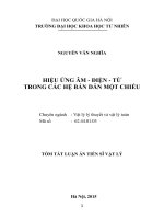 HIỆU ỨNG âm   điện   từ TRONG các hệ bán dẫn một CHIỀU 