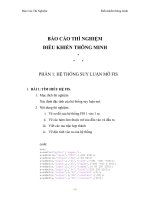 Báo cáo thí nghiệm điều khiển thông minh