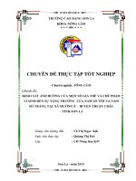 Khảo sát ảnh hưởng của một số giá thể và chế phẩm vi sinh đến sự tăng trưởng của một số nấm sò tím và nấm sò trắng tạo xã mường é   huyện thuận châu   tỉnh sơn la 