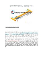 Thông số kỹ thuật cầu trục dầm đơn 3 tấn