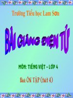 bài giảng tiếng viejt ôn tập tiết 4