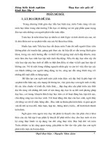 skkn dạy học các yếu tố hình học lớp 4